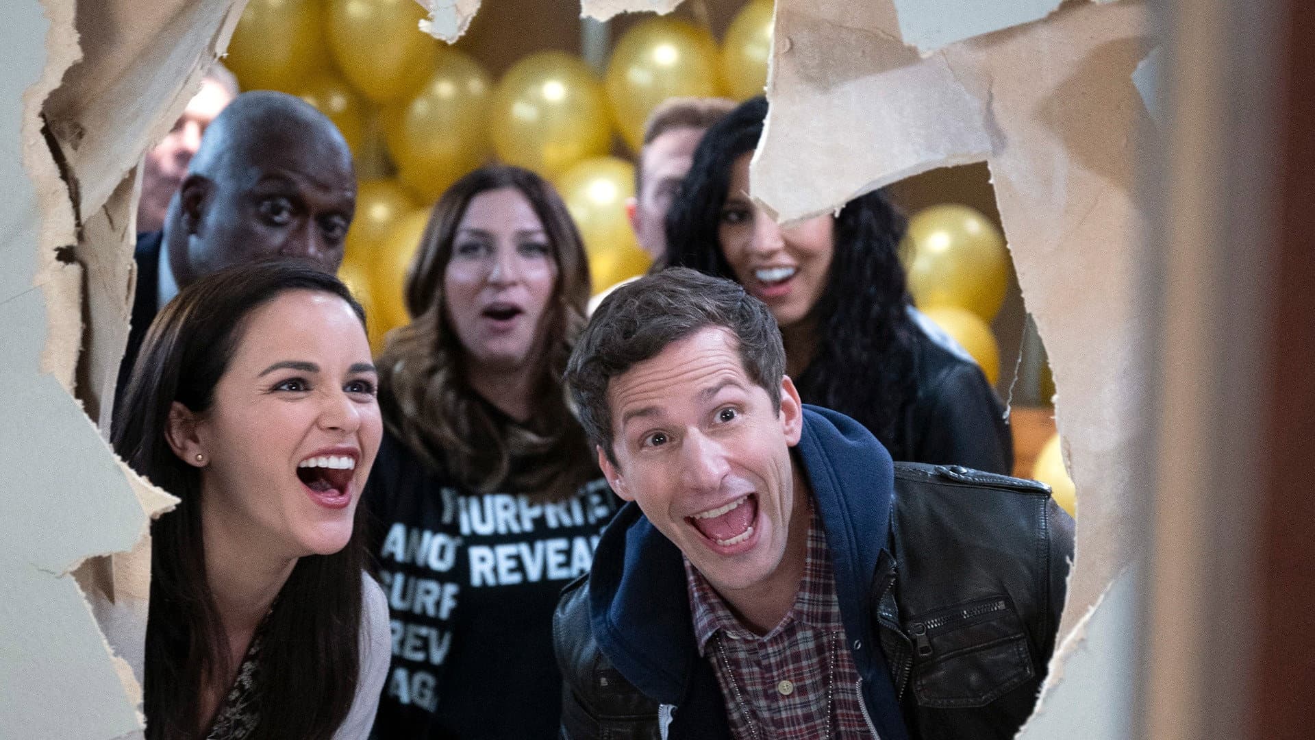 Goodbye Brooklyn Nine-Nine - immagine