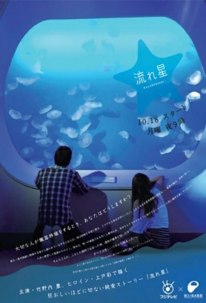 Poster di 流れ星