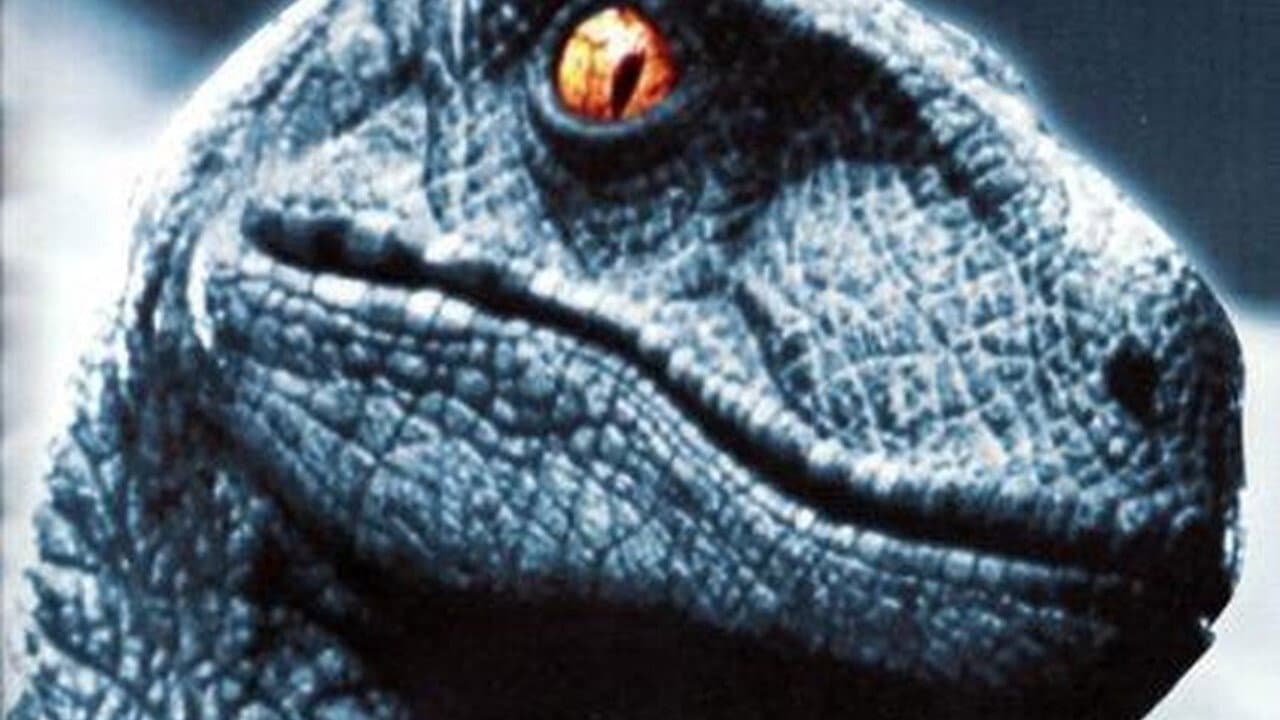 Raptor - immagine