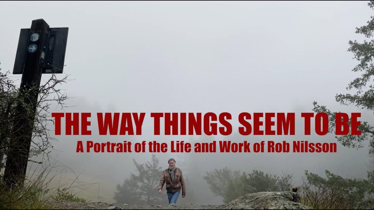 The Way Things Seem to Be - immagine