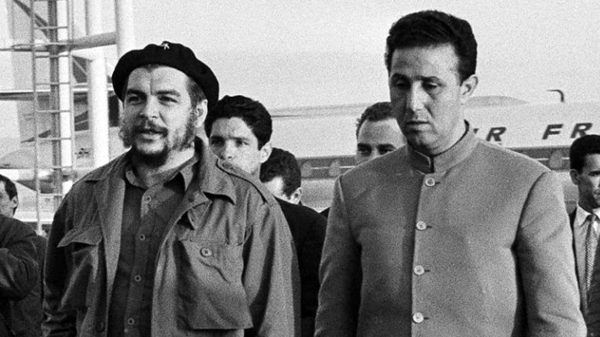 Alger, la Mecque des Révolutionnaires (1962-1974) - immagine