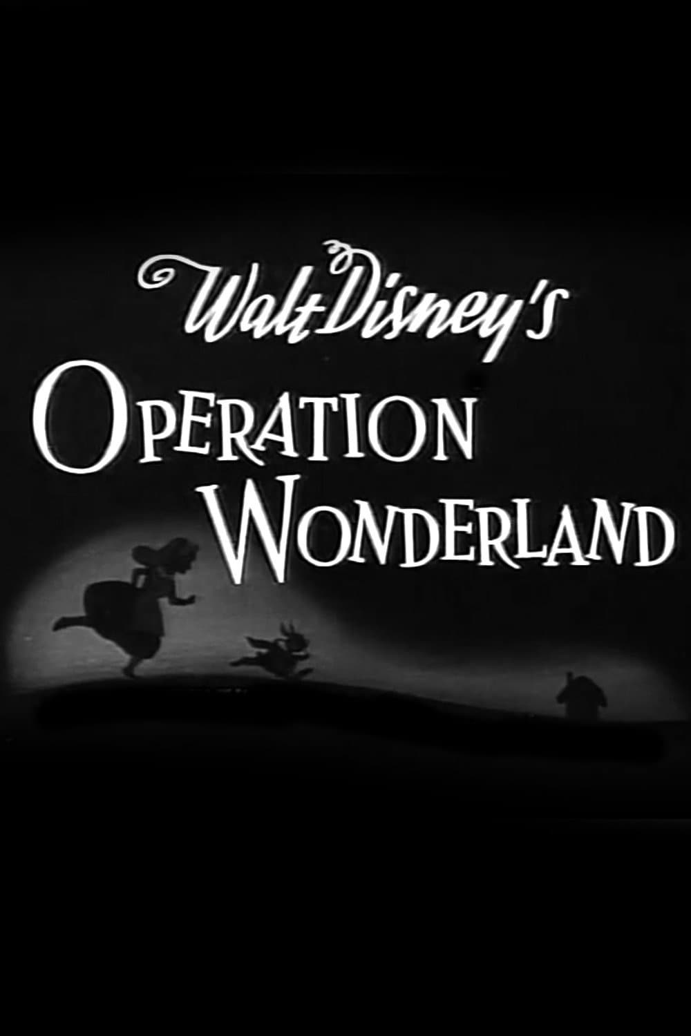 Poster di Operation Wonderland