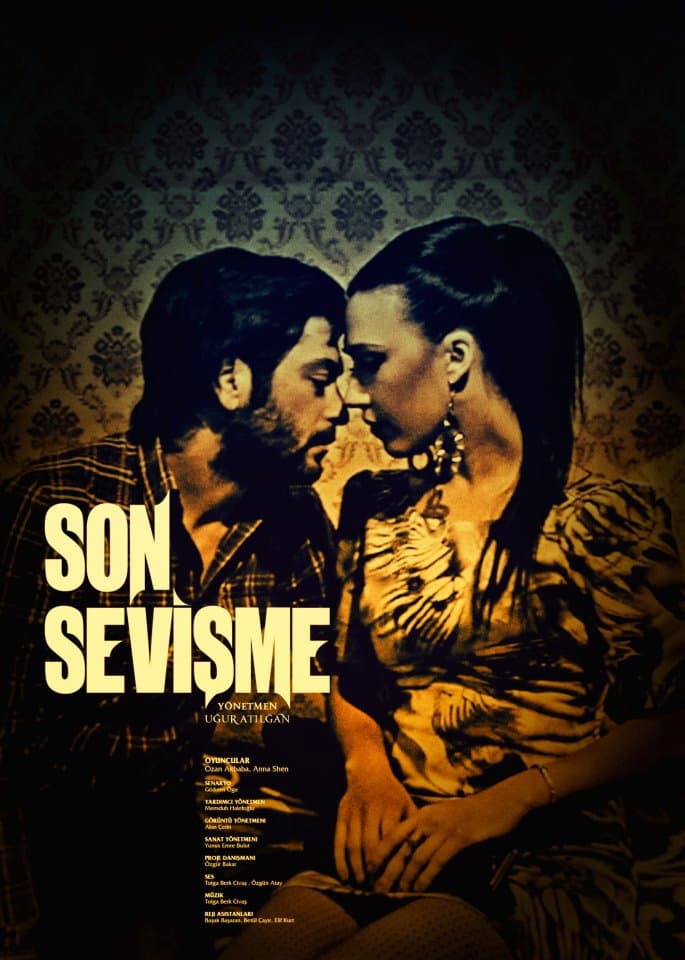 Poster di Son Sevişme