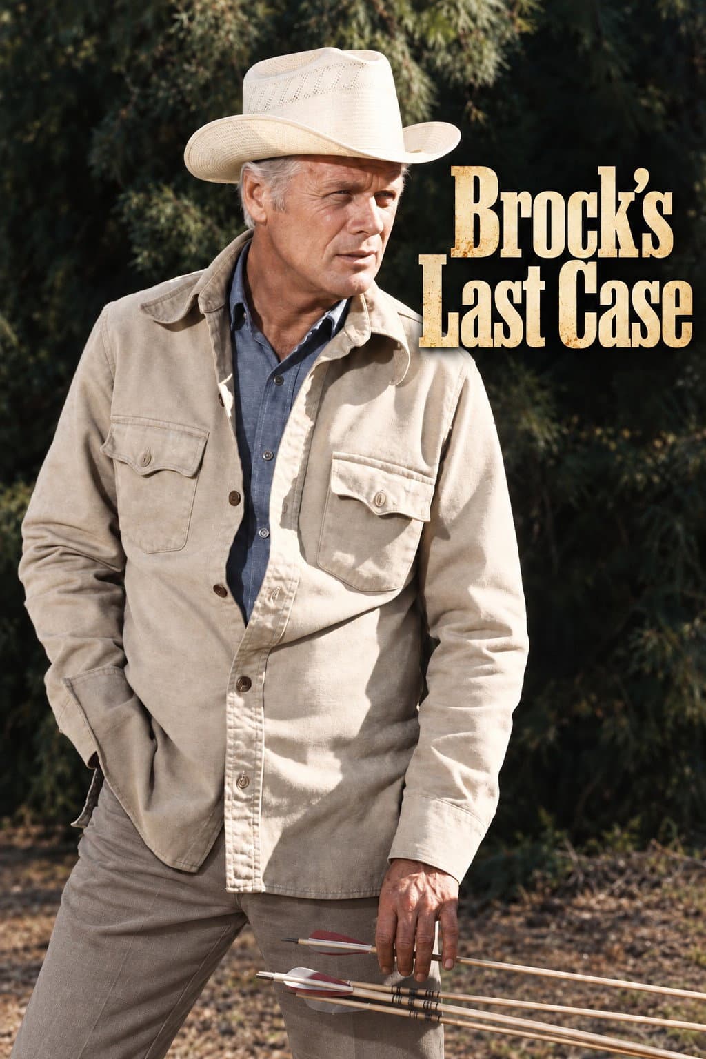 Poster di Brock's Last Case