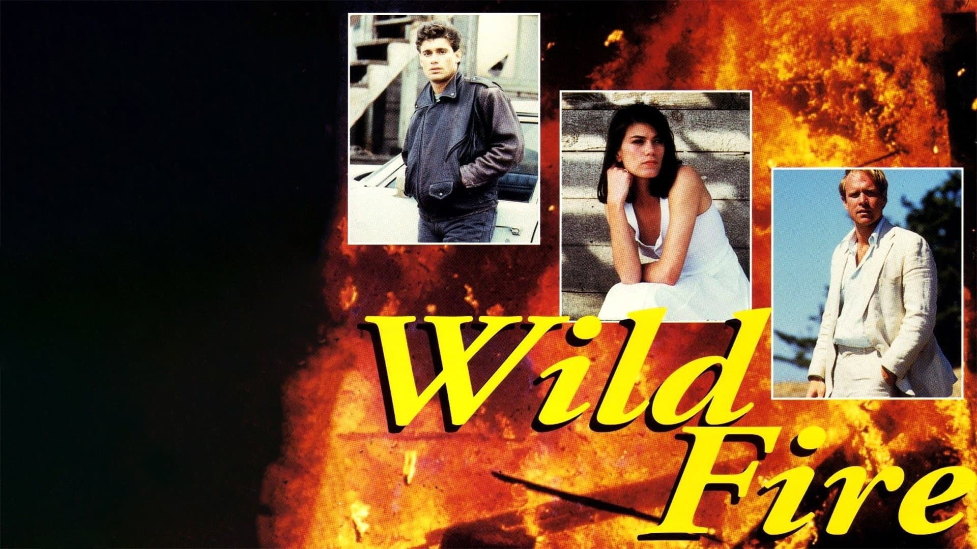 Wildfire - All'improvviso un maledetto amore - immagine
