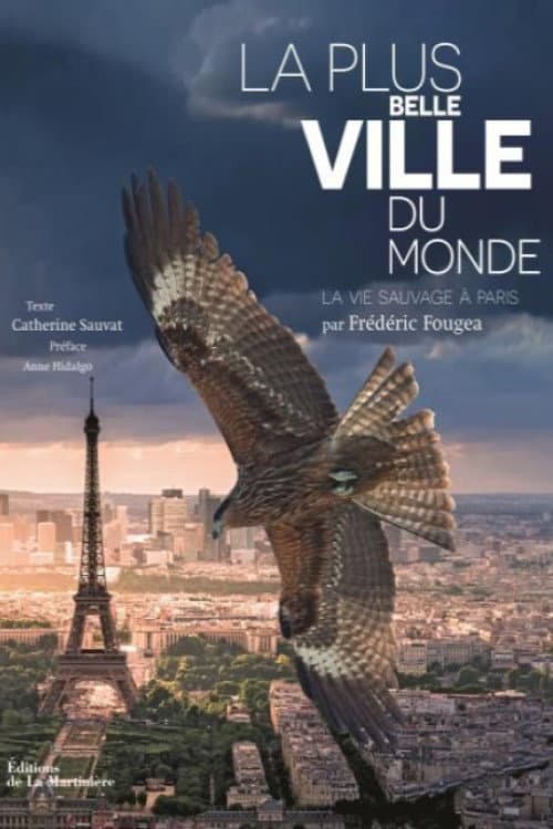 Poster di La Plus Belle Ville du monde
