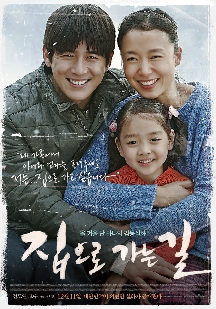 Poster di Way Back Home