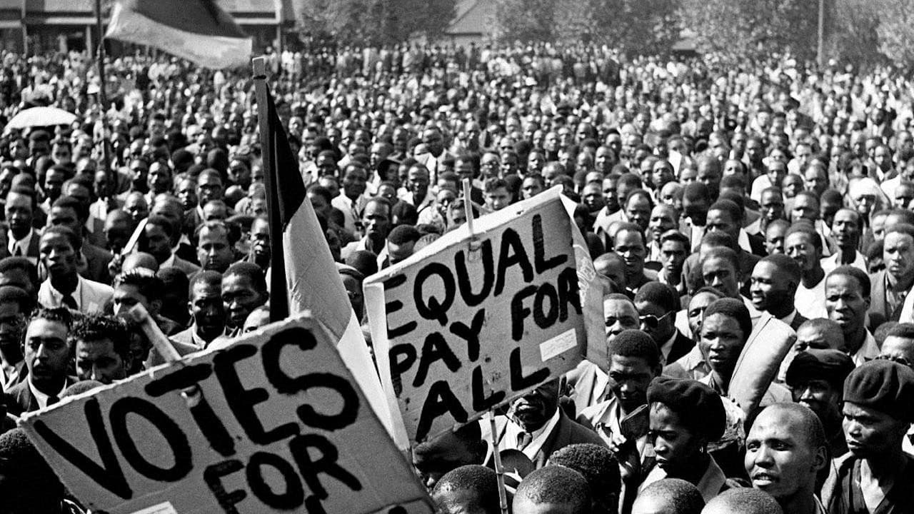 Lo stato contro Mandela e gli altri - immagine