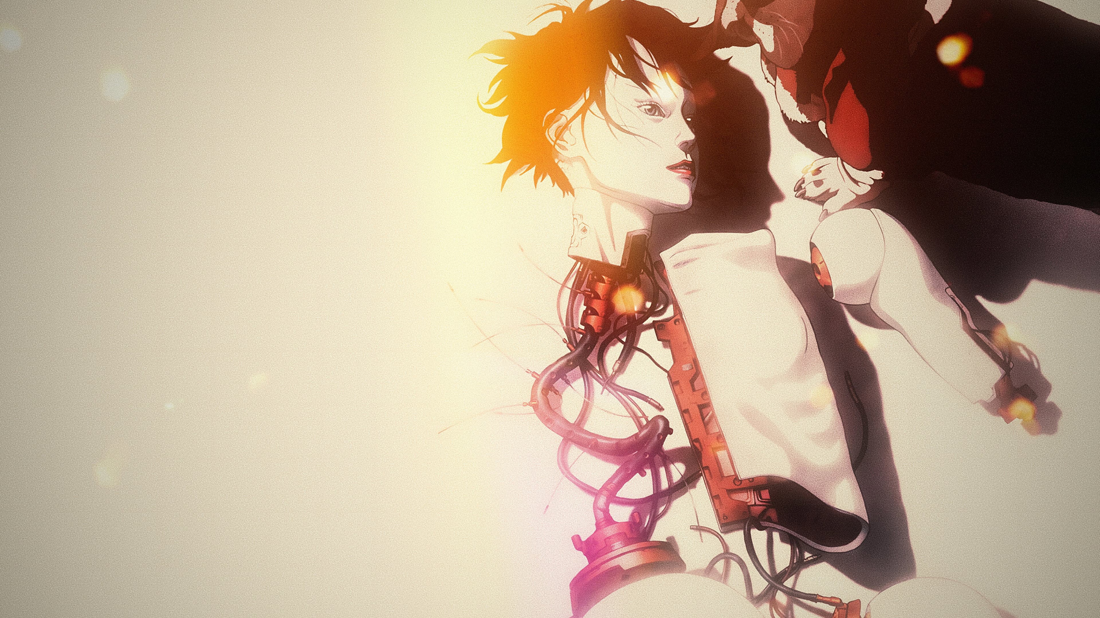 Ghost in the Shell: L'attacco dei cyborg - immagine