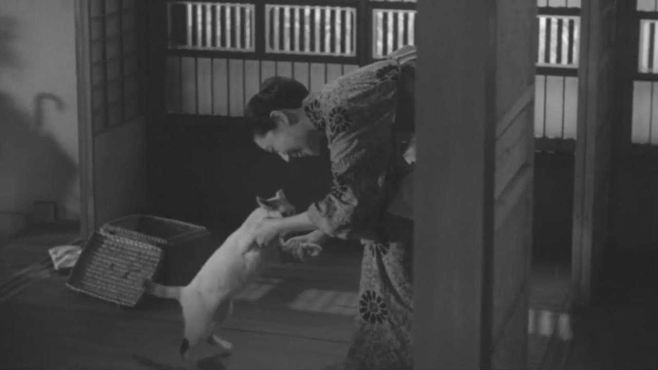猫と庄造と二人のをんな - immagine