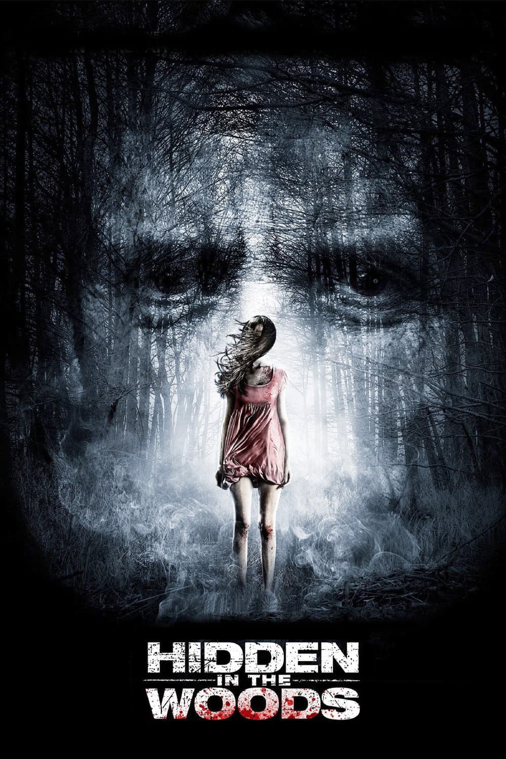 Poster di Hidden in the Woods