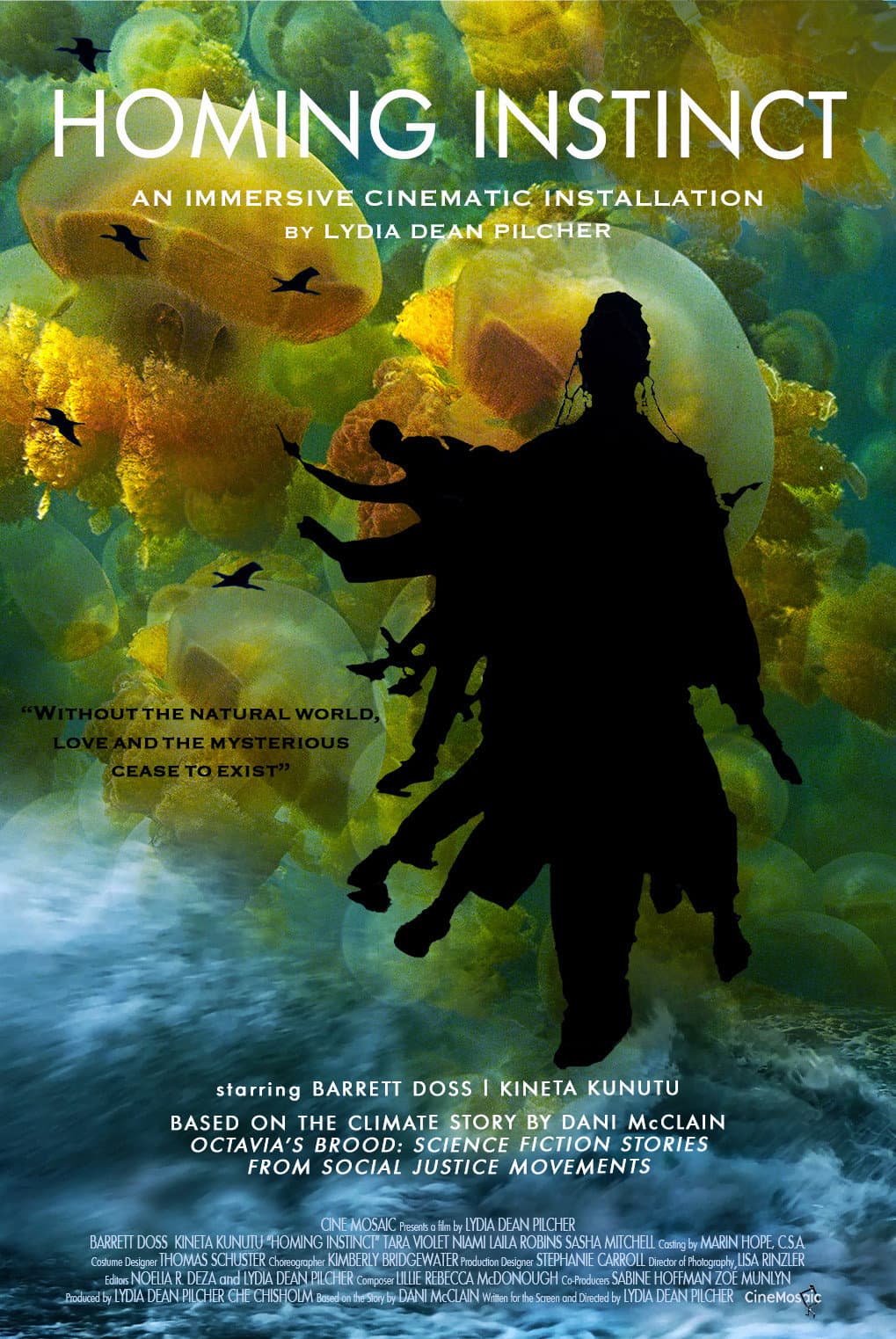 Poster di Homing Instinct