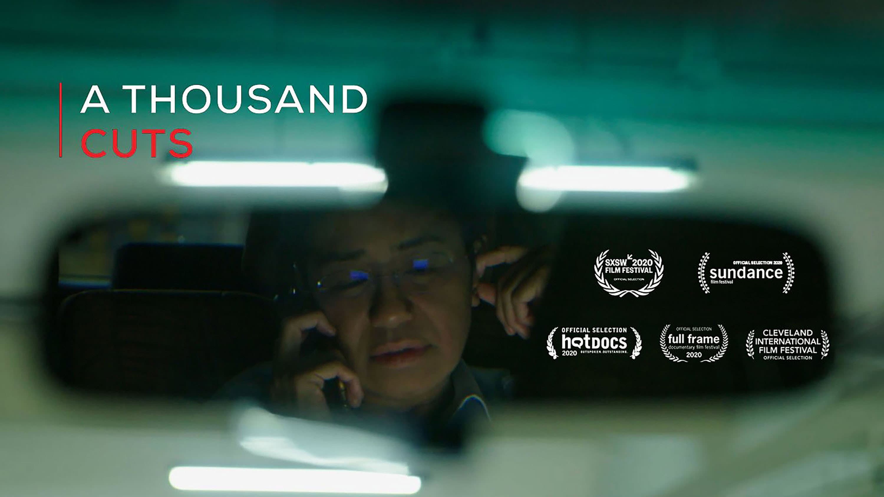 A Thousand Cuts - immagine