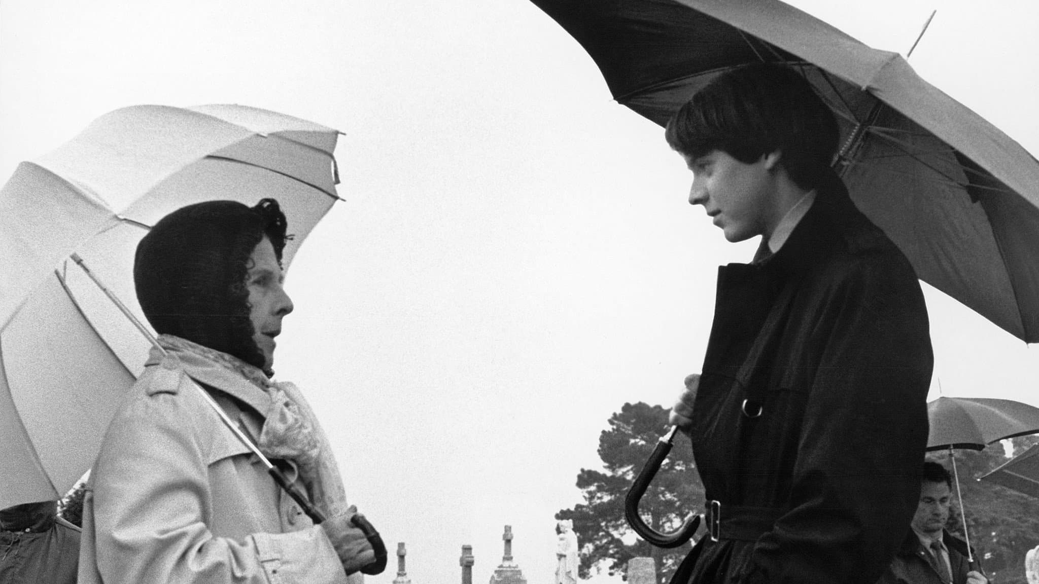 Harold e Maude - immagine