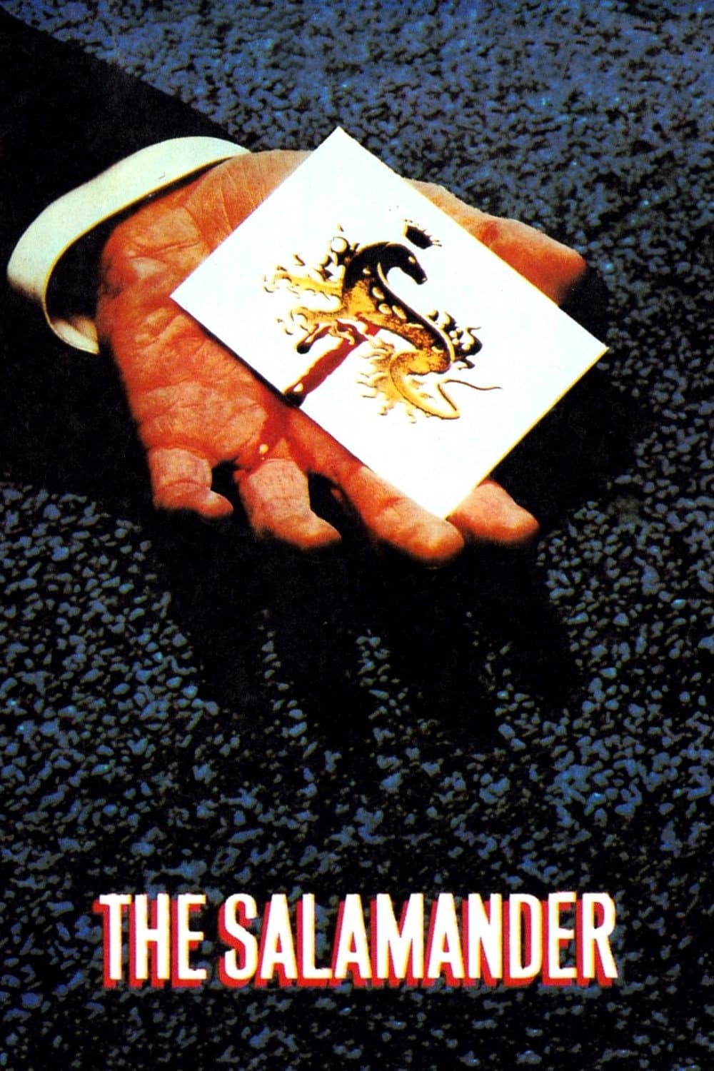 Poster di La salamandra