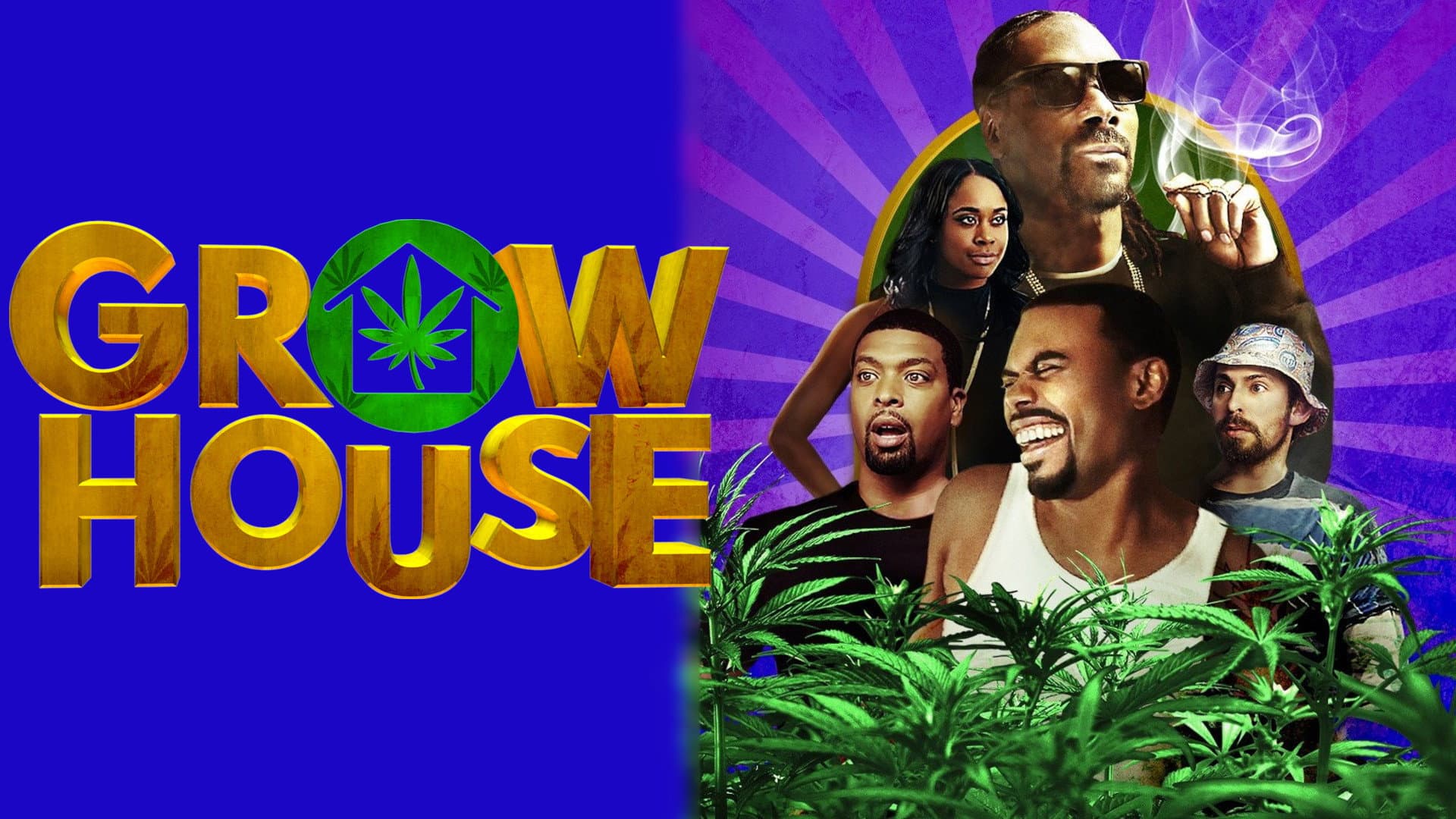Grow House - immagine