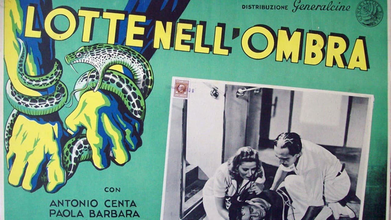 Lotte nell'ombra - immagine