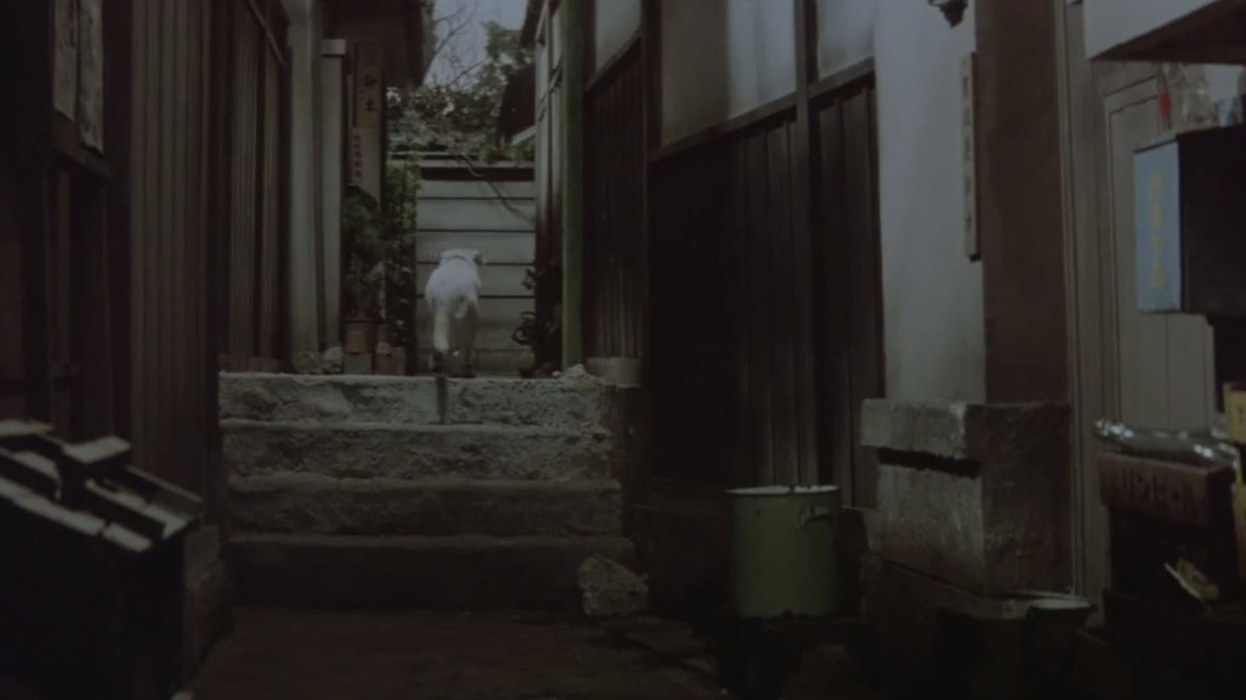 A Geisha's Diary - immagine