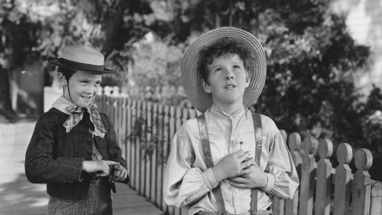 Le avventure di Tom Sawyer - immagine