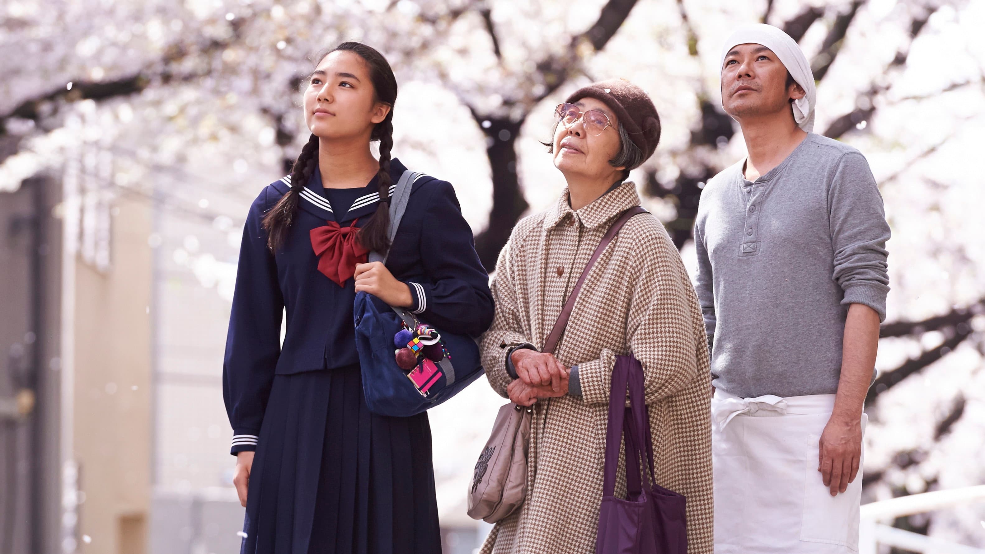 Le ricette della signora Toku - immagine
