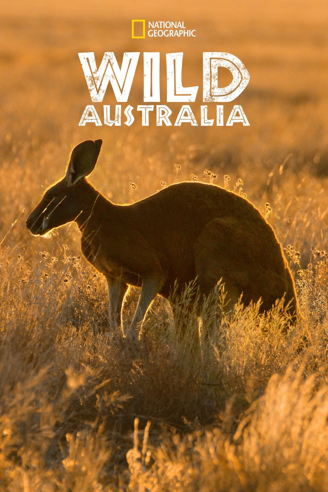Poster di Wild Australia