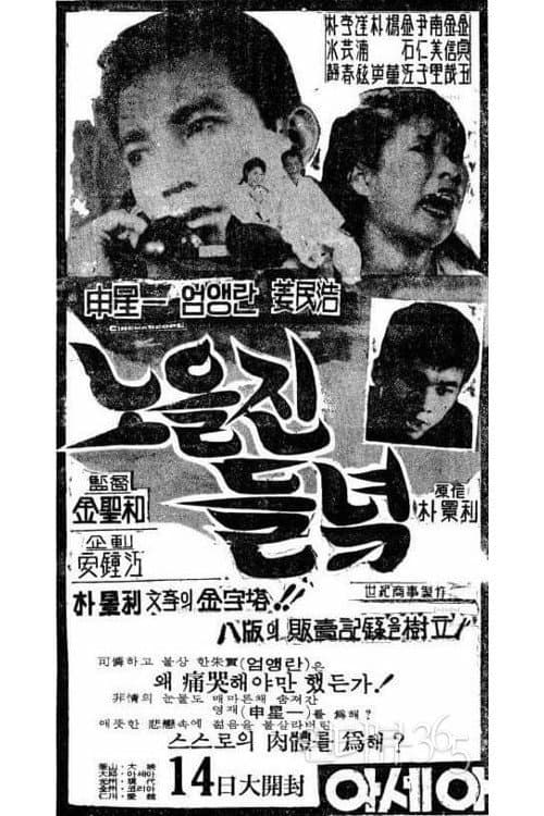 Poster di 노을진 들녘