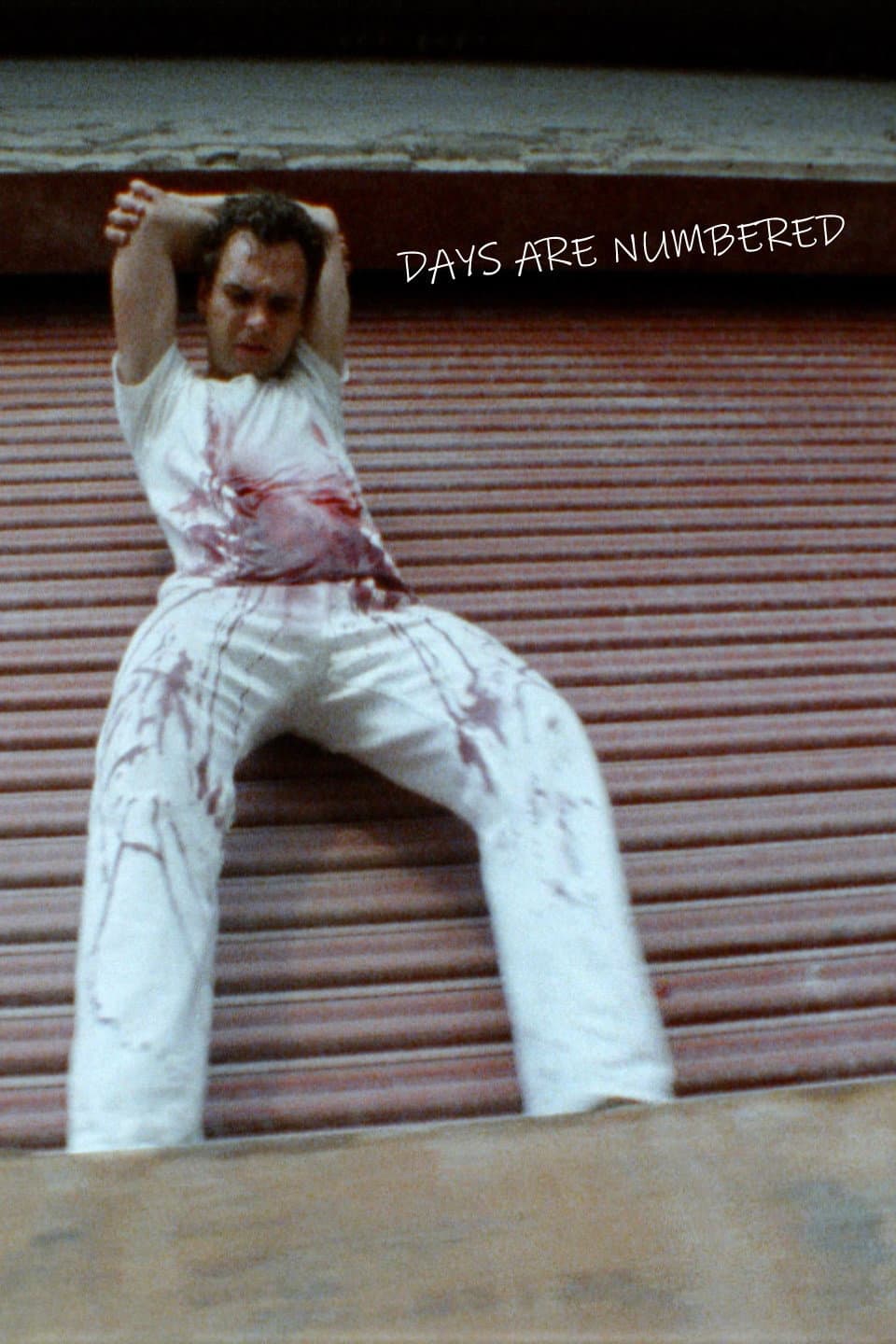 Poster di Days Are Numbered