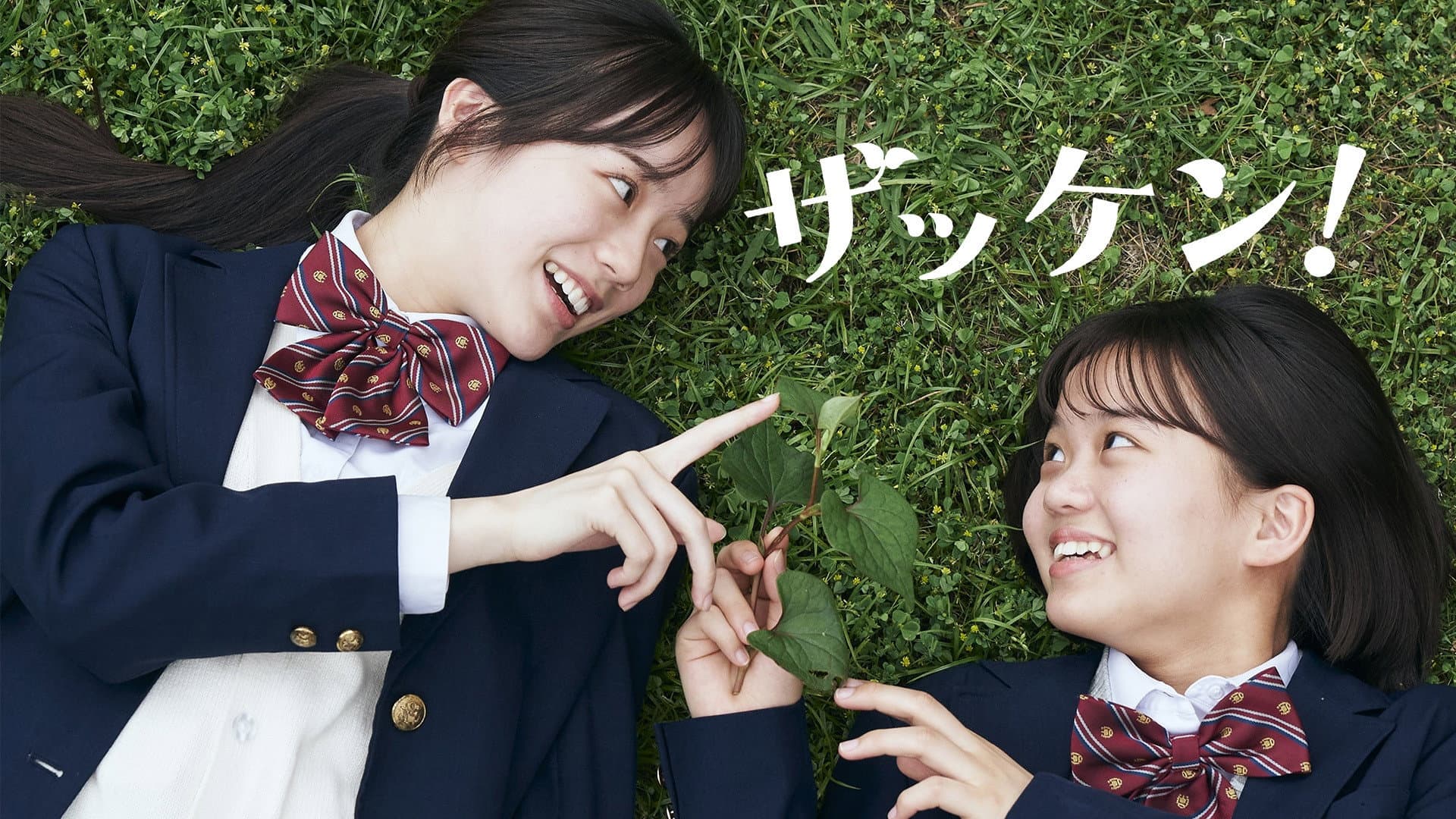 ザッケン！ - immagine