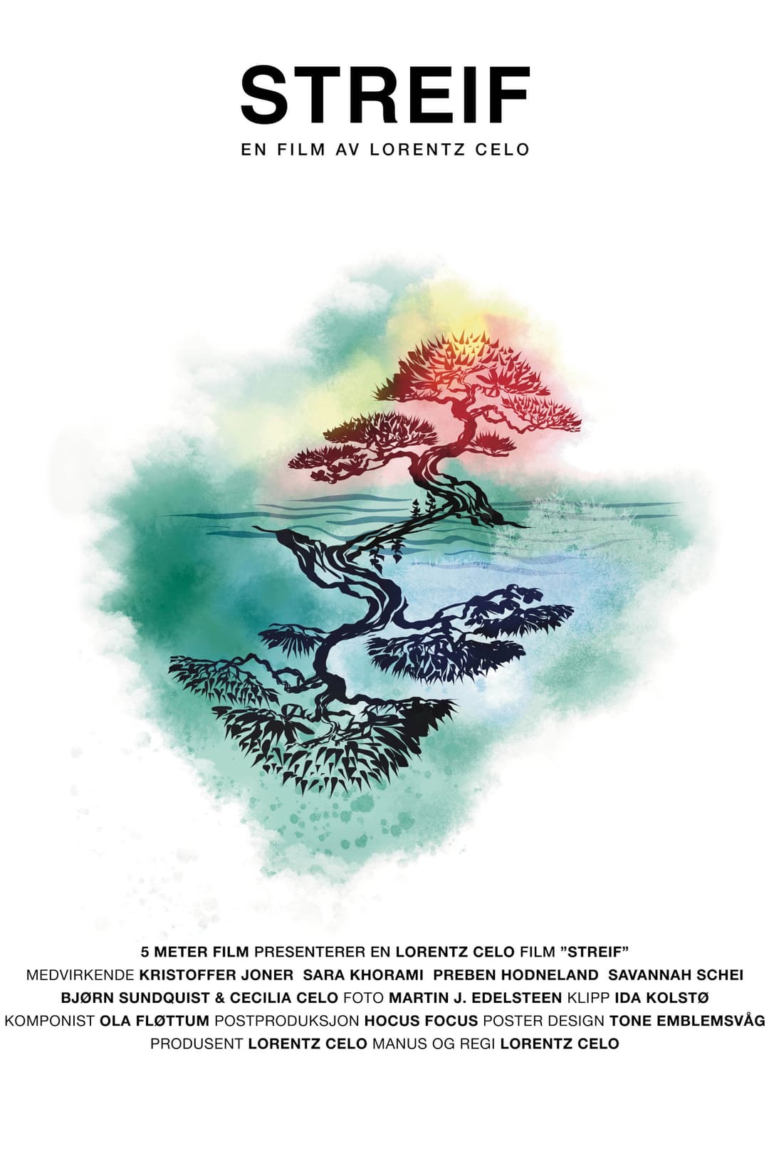 Poster di Streif