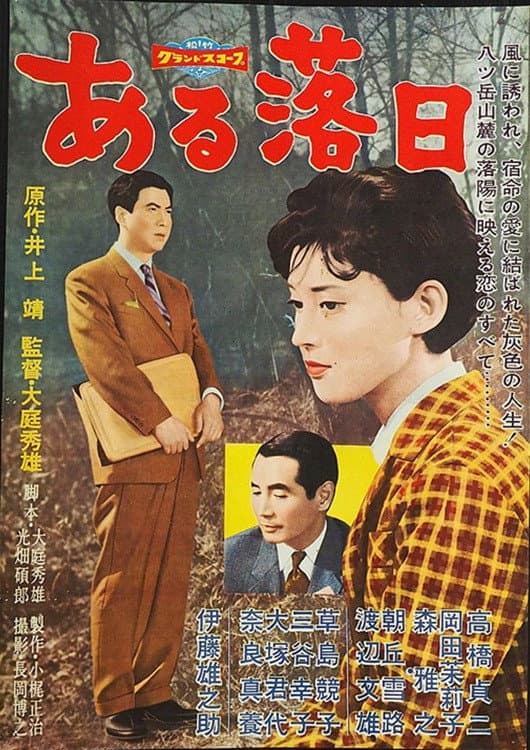Poster di ある落日
