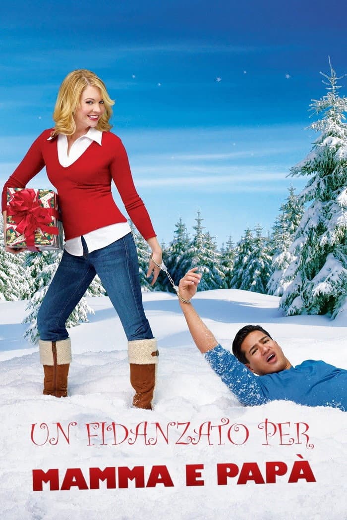 Poster di Un fidanzato per mamma e papà