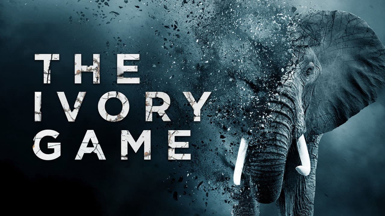 The Ivory Game - immagine