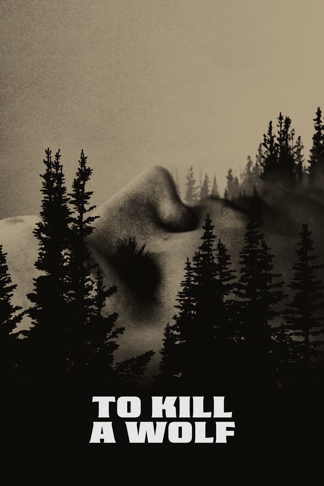 Poster di To Kill a Wolf