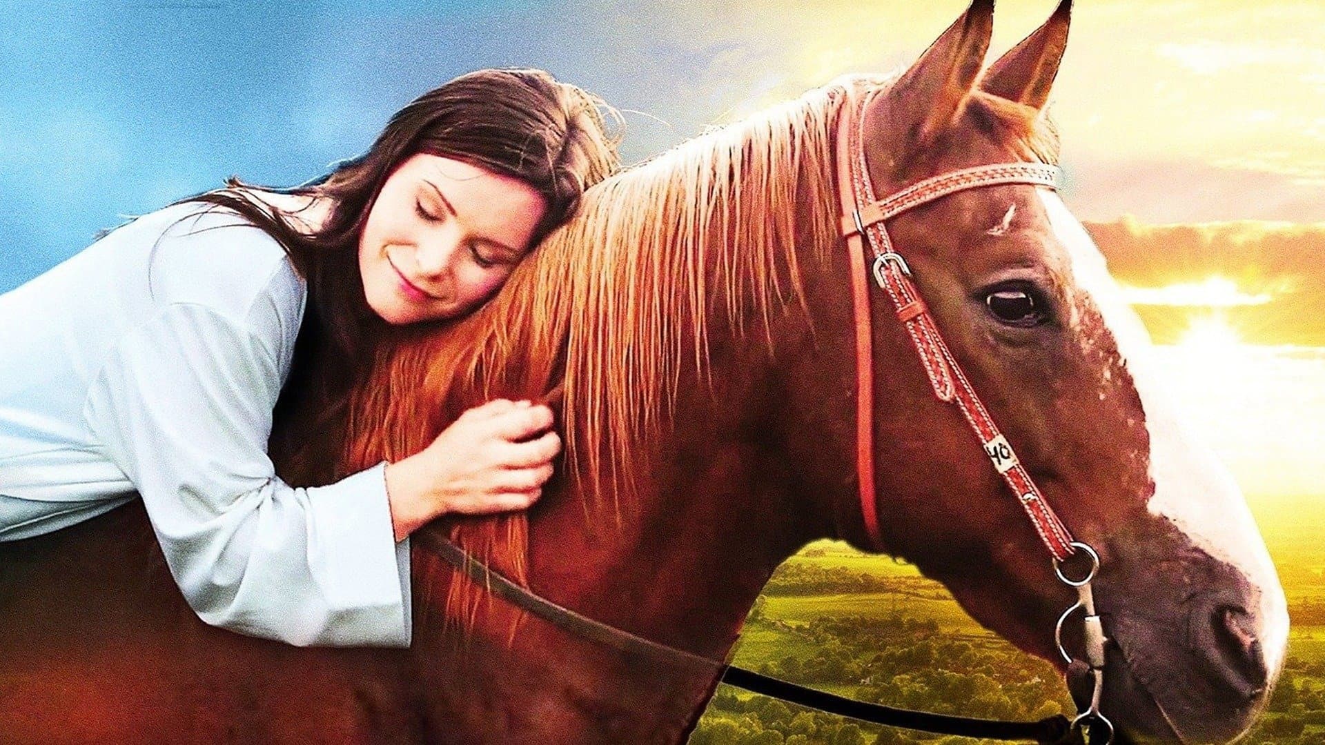 Horse Camp - immagine