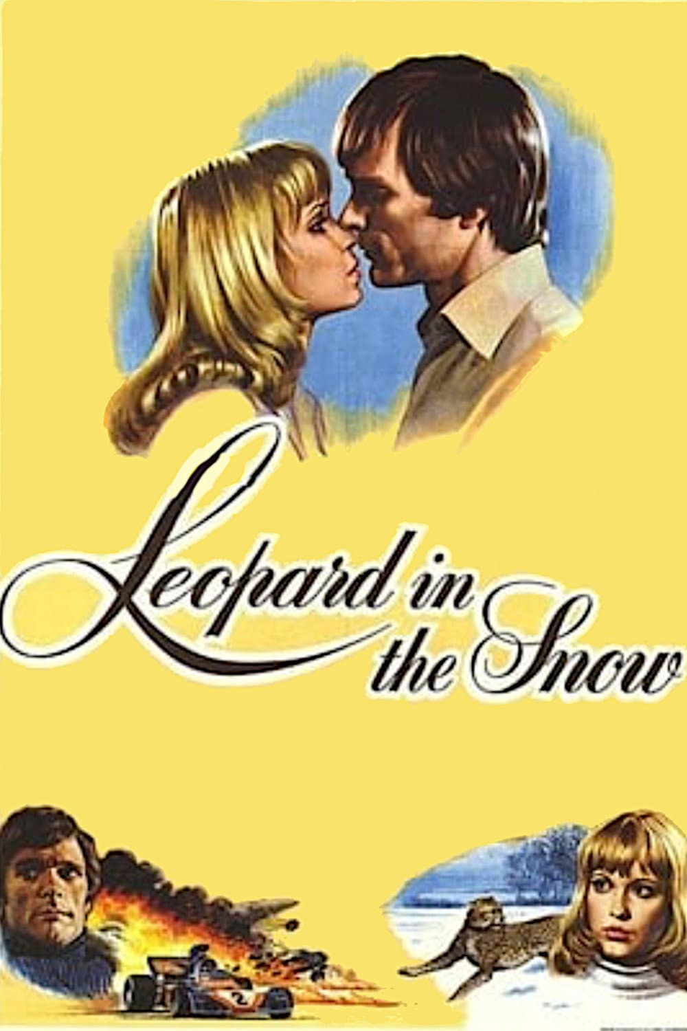 Poster di Il leopardo nella neve