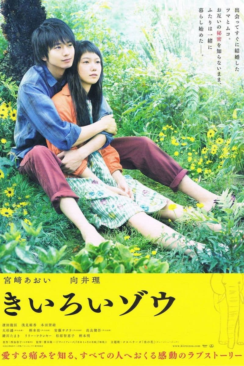 Poster di きいろいゾウ
