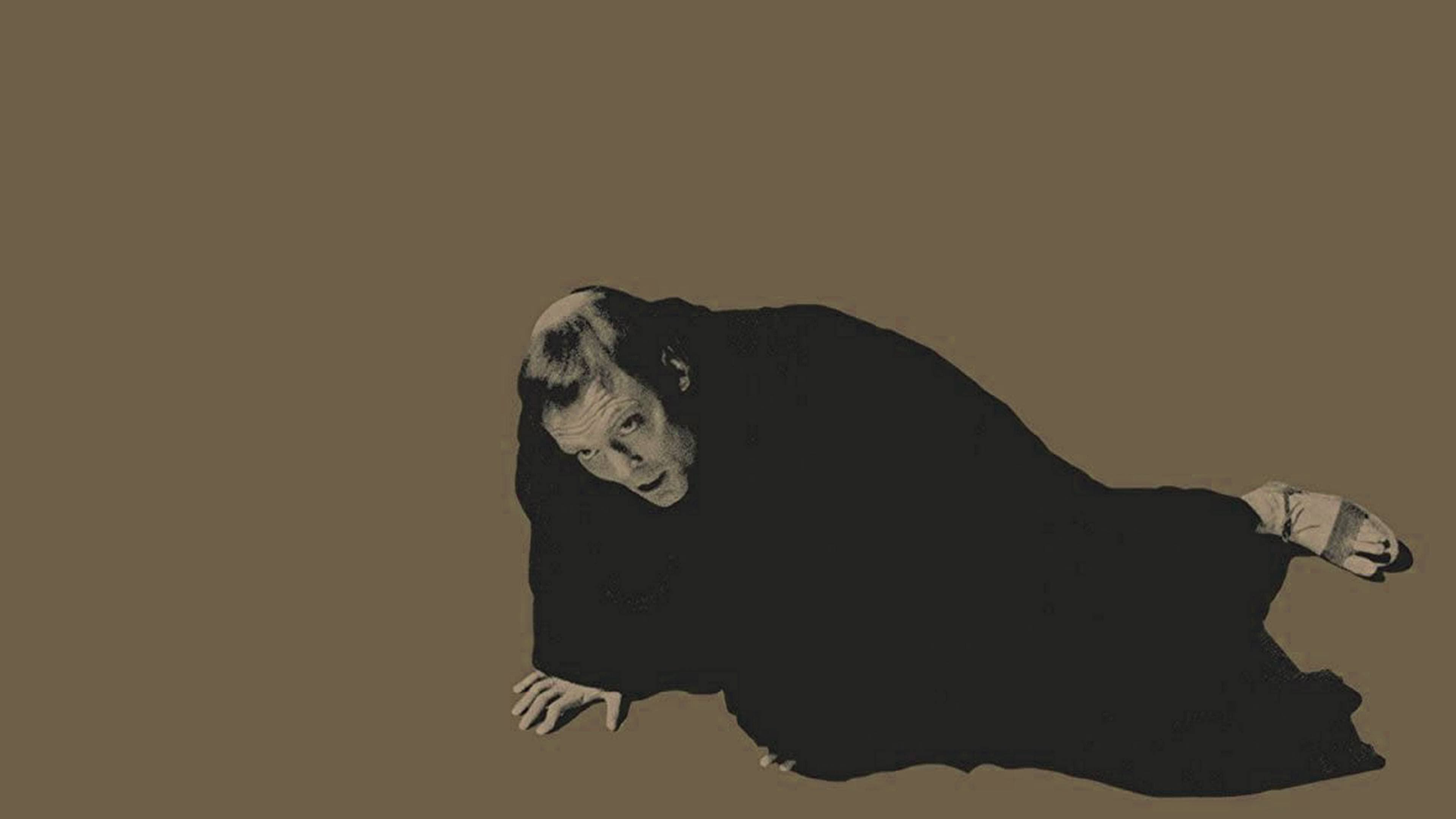 Luther - immagine