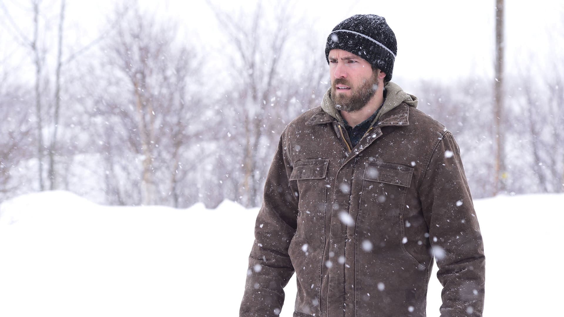 The Captive: Scomparsa - immagine