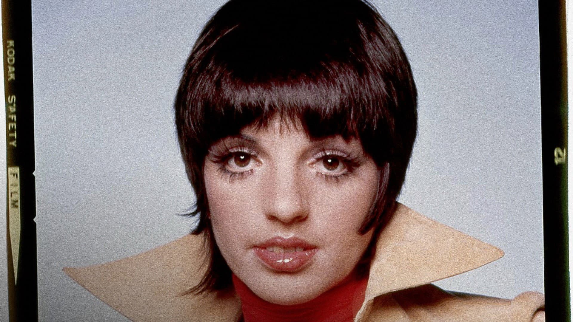 Liza: A Truly Terrific Absolutely True Story - immagine