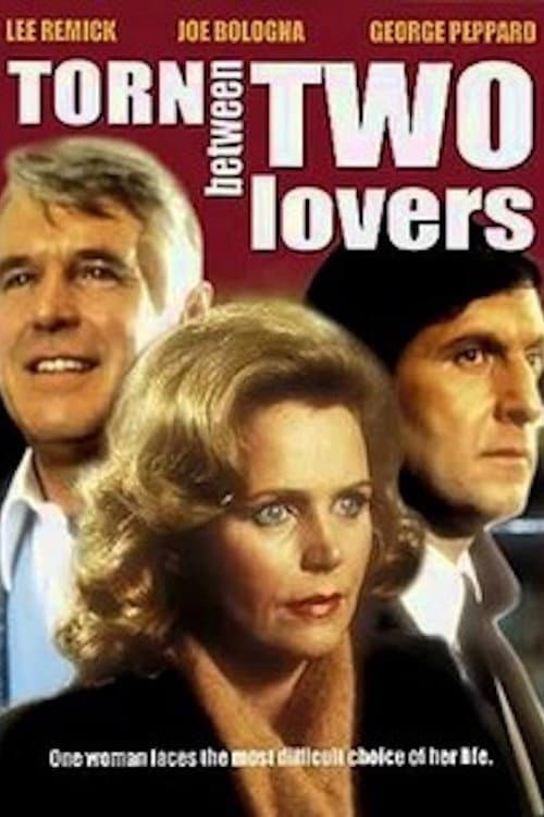 Poster di Torn Between Two Lovers