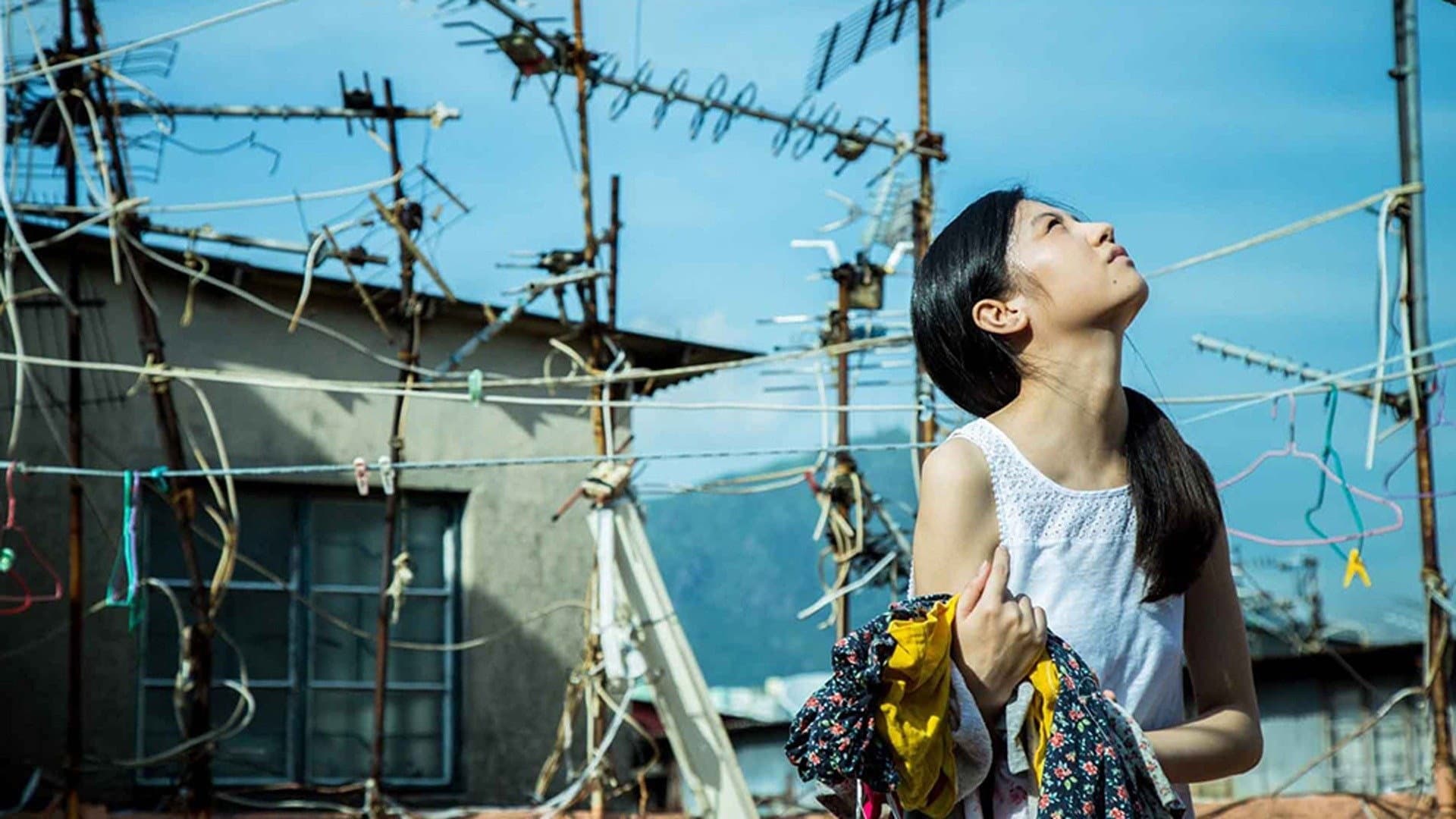 Port of Call - immagine
