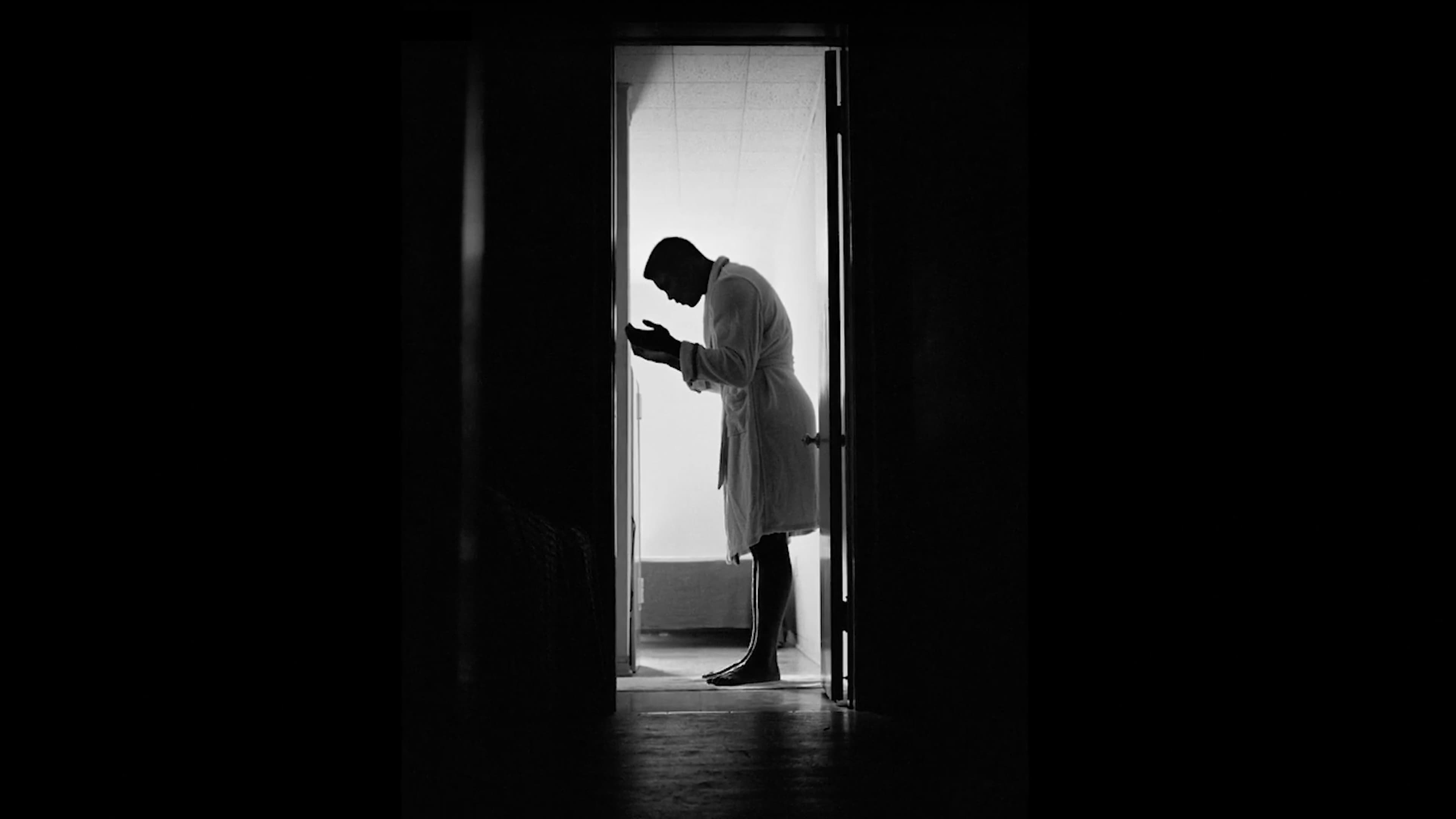 A Choice of Weapons: Inspired by Gordon Parks - immagine