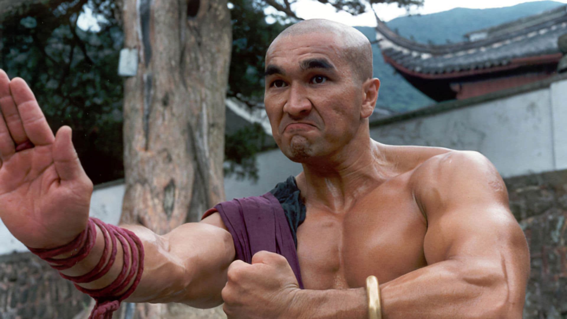 American Shaolin - immagine