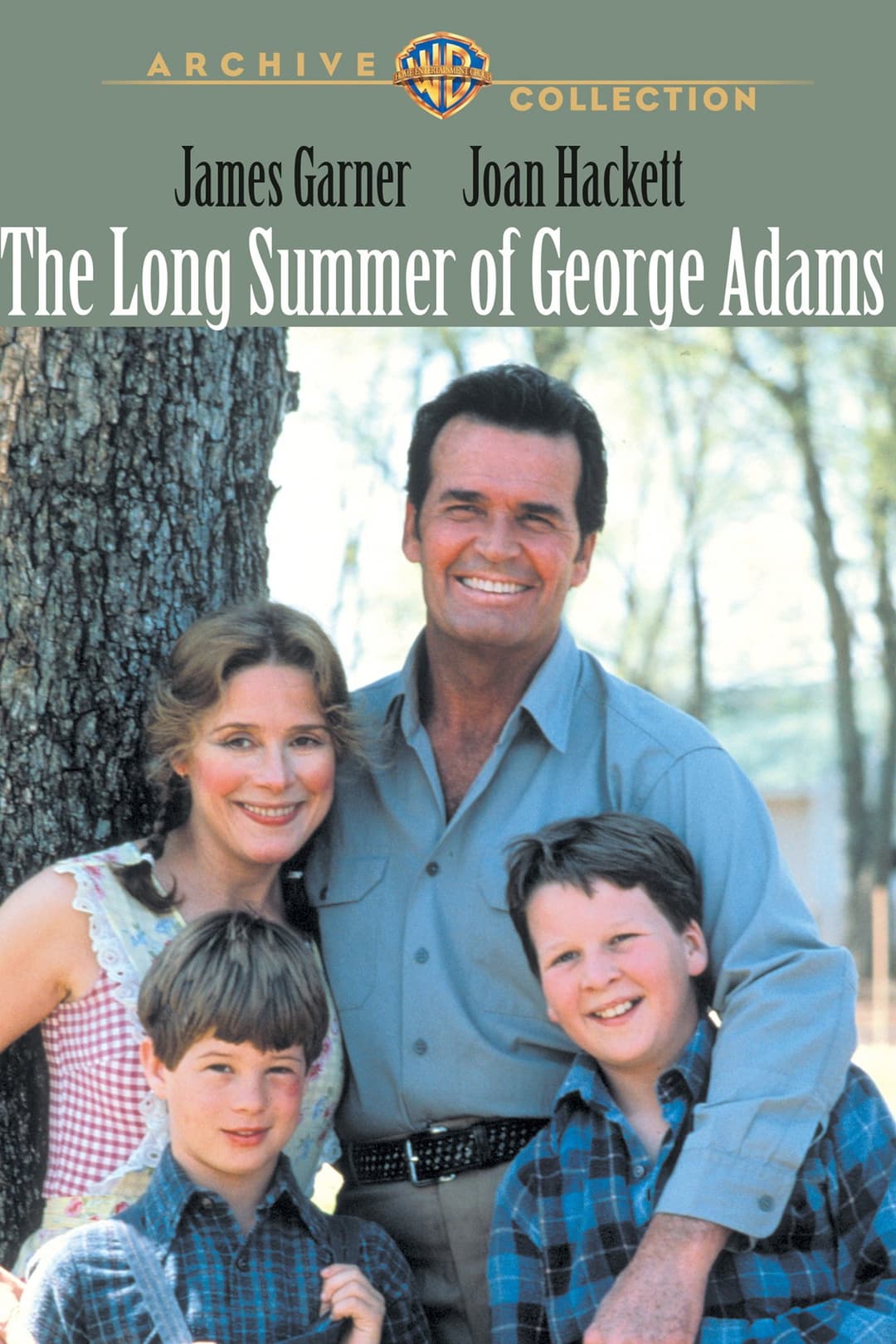 Poster di The Long Summer of George Adams