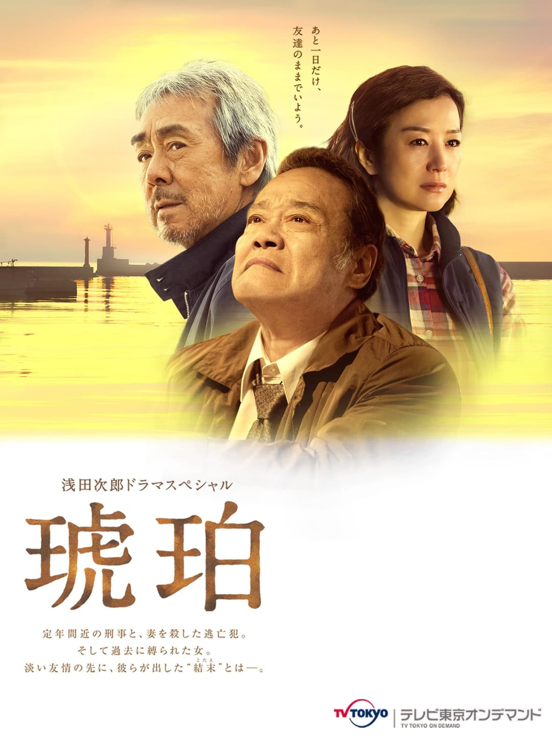 Poster di 琥珀