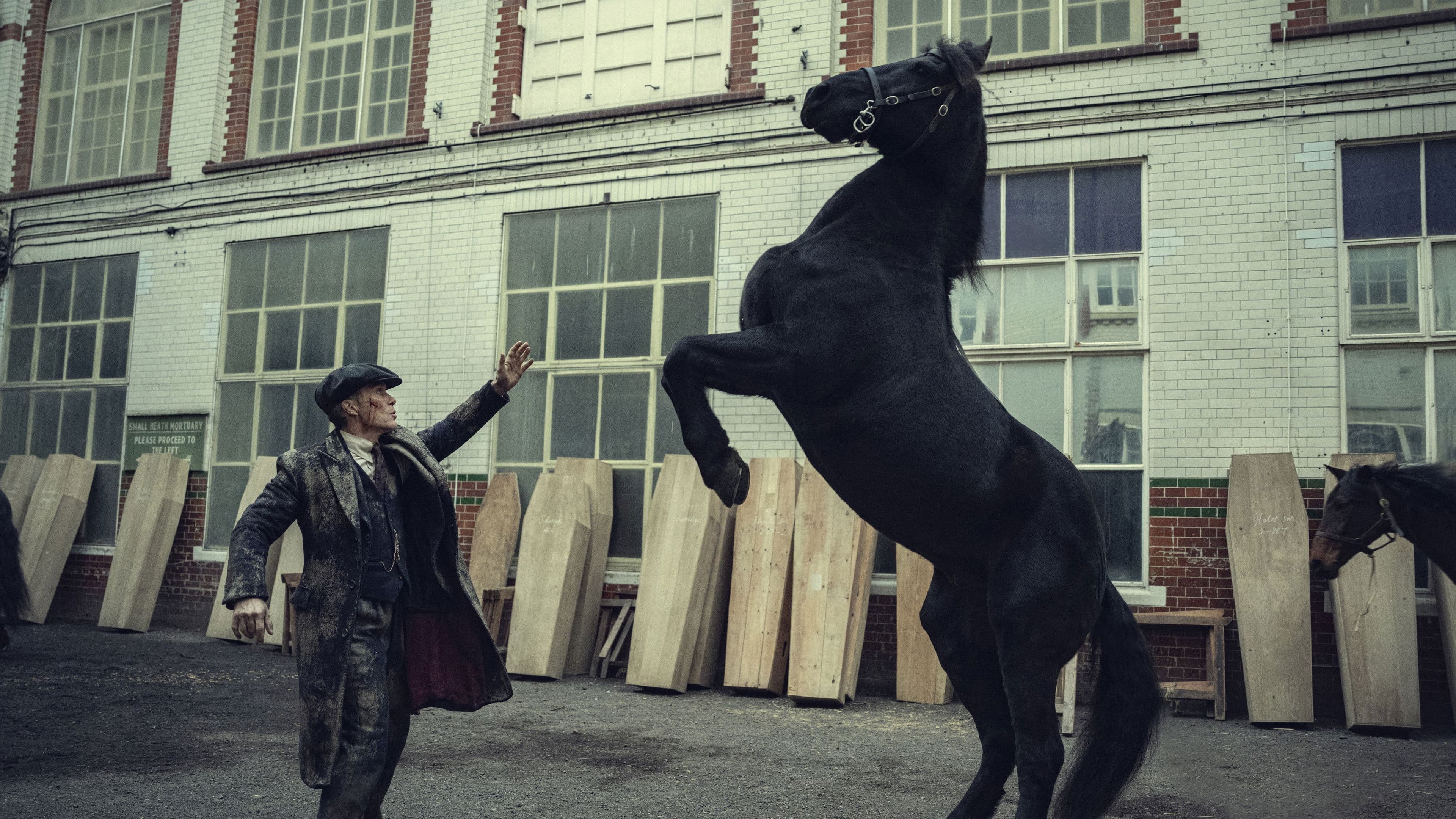 Peaky Blinders: The Immortal Man - immagine