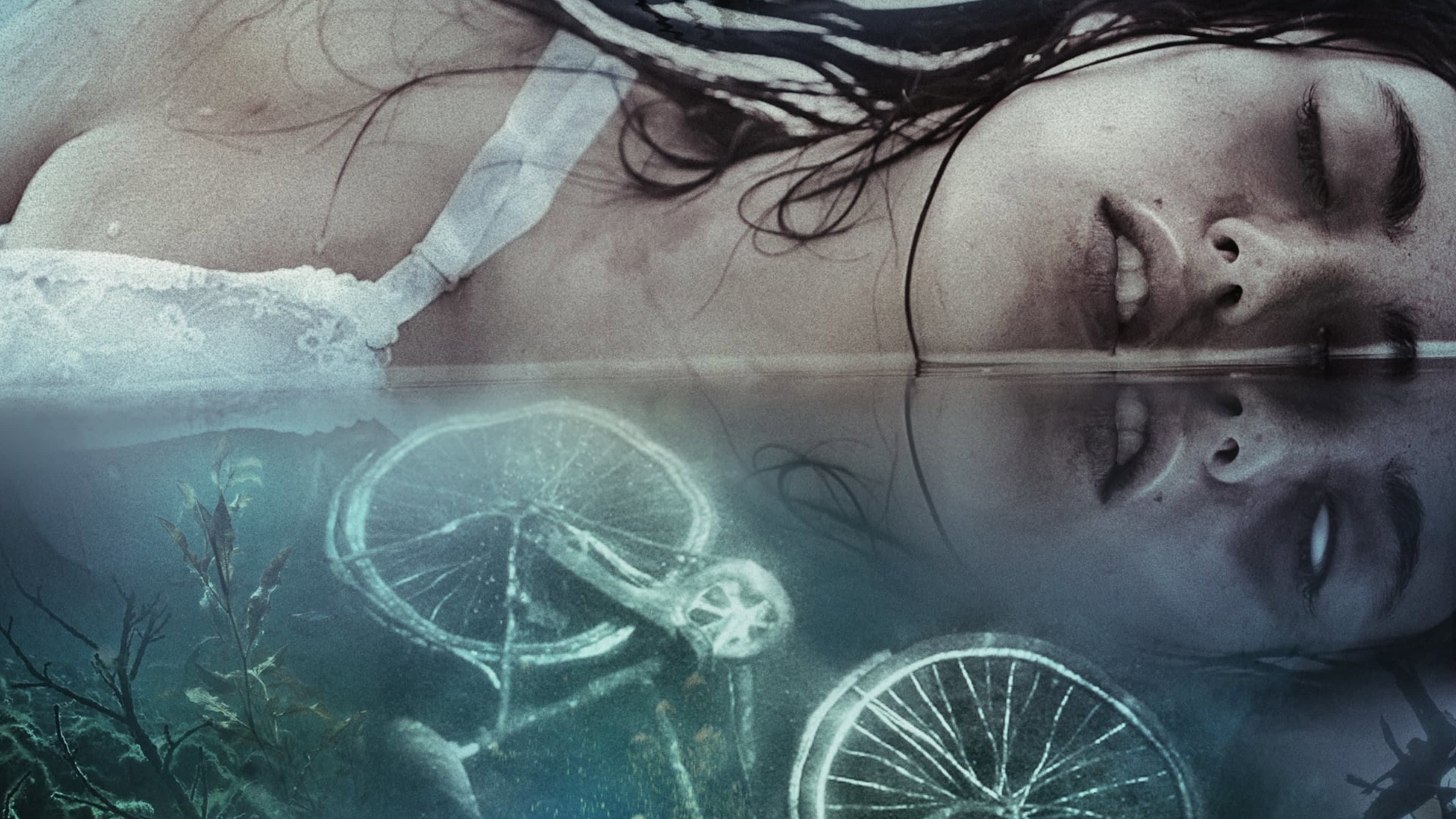Cold Moon - immagine