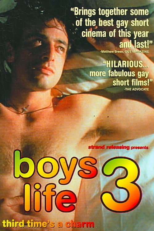 Poster di Boys Life 3