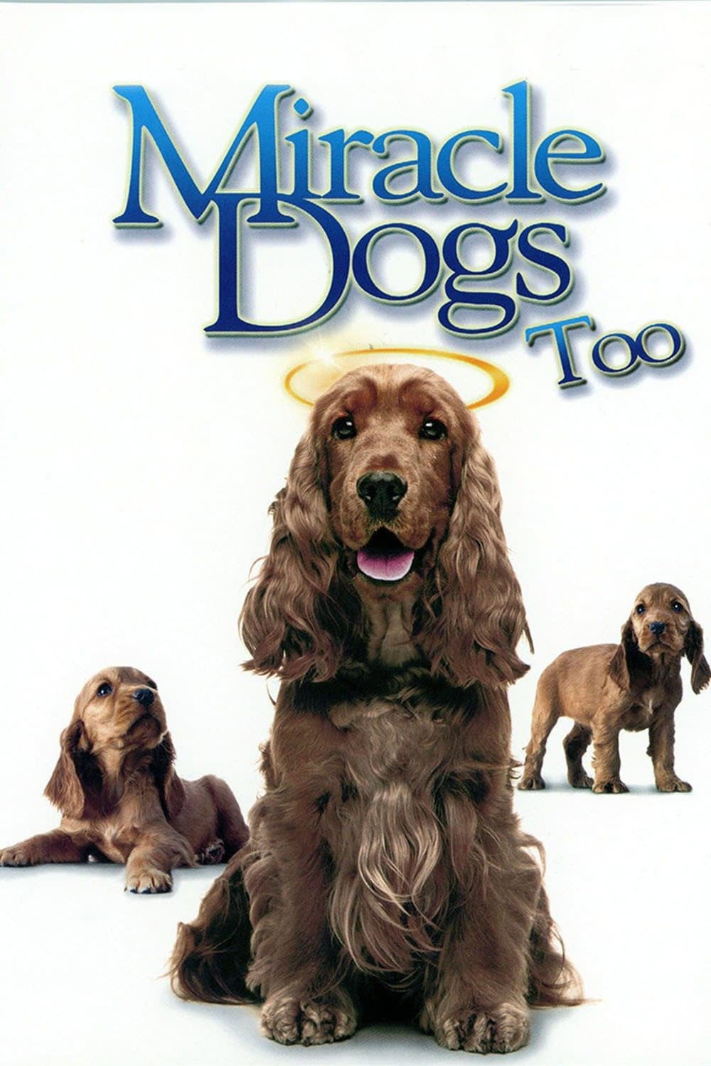 Poster di Miracle Dogs Too