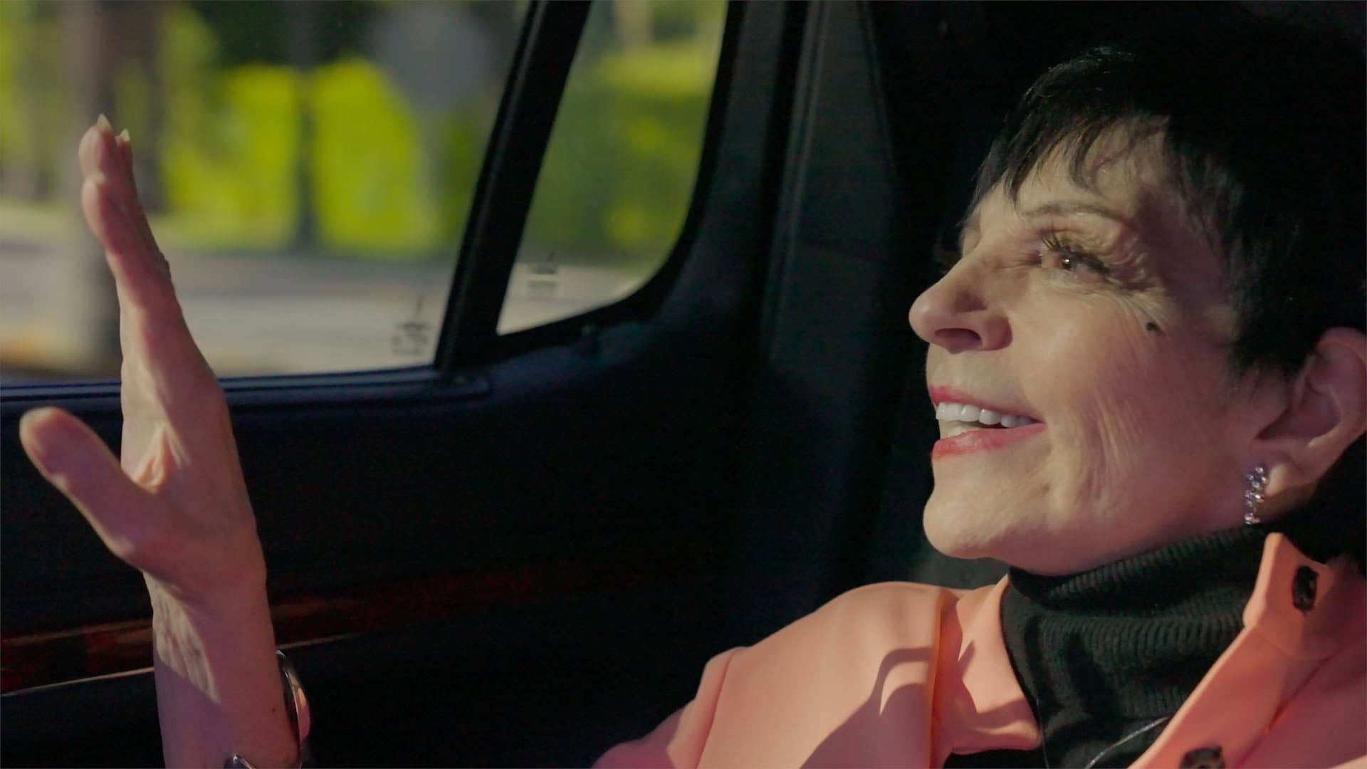 Liza: A Truly Terrific Absolutely True Story - immagine